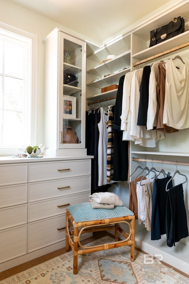 view of walk in closet