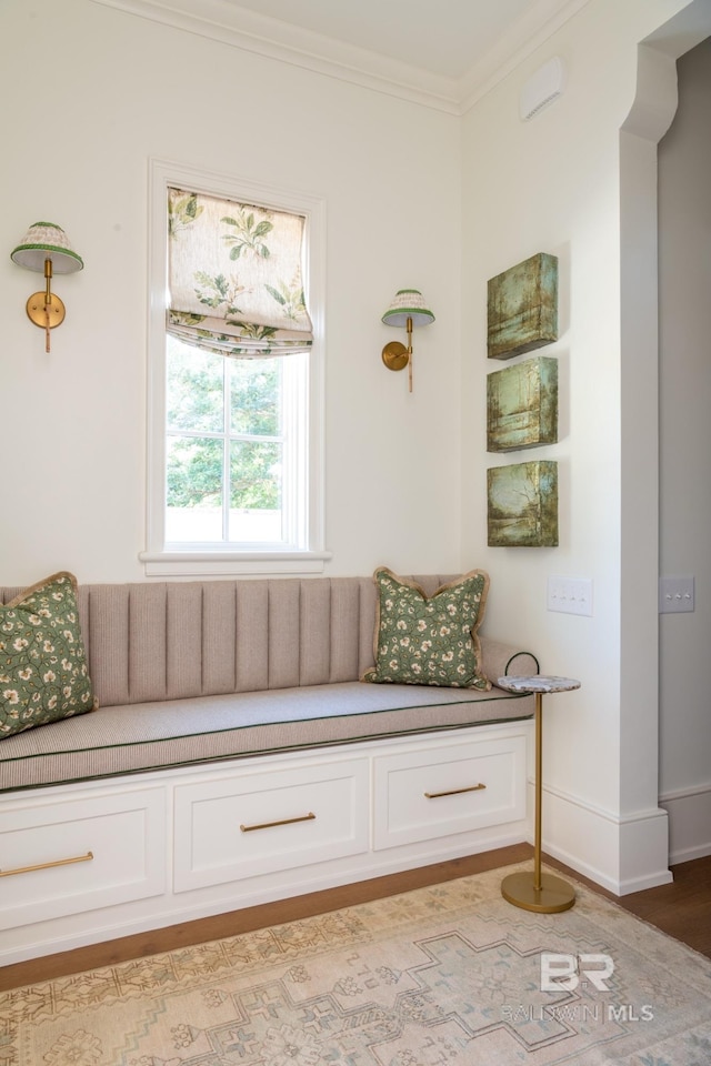 living area featuring ornamental molding