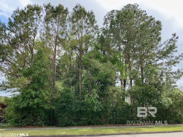 8447 Pine Run, Spanish Fort AL, 36527 land for sale