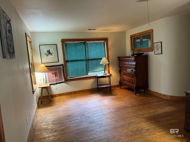 interior space with wood-type flooring