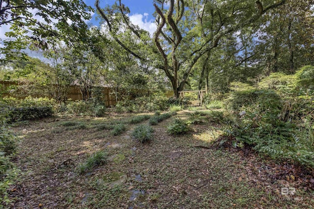 52 N Hawthorne Pl, Mobile, AL 36608 - view of yard