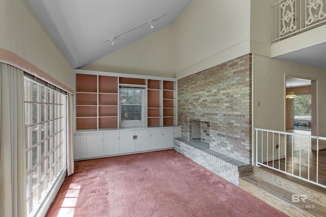 52 N Hawthorne Pl, Mobile, AL 36608 - unfurnished sunroom with track lighting and vaulted ceiling