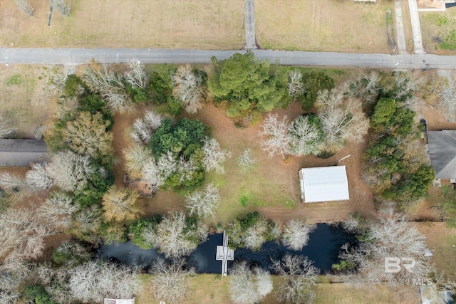 Listing photo 3 for 0 W Hammond St, Robertsdale AL 36567