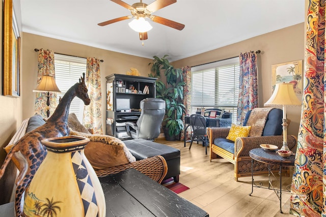 office featuring ceiling fan, a wealth of natural light, and light hardwood / wood-style floors