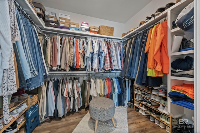 spacious closet with hardwood / wood-style floors