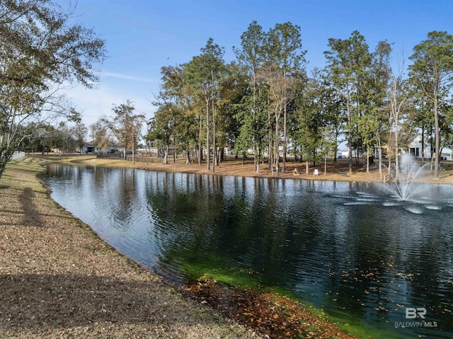 property view of water