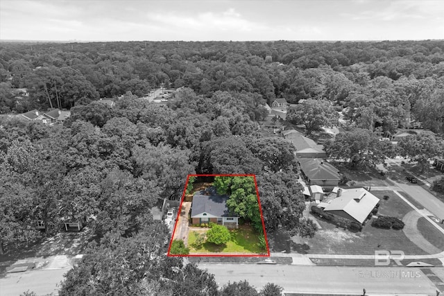5645 Green Tree Rd, Mobile, AL 36609 - aerial view of property and surrounding area with a forest and property boundaries highlighted