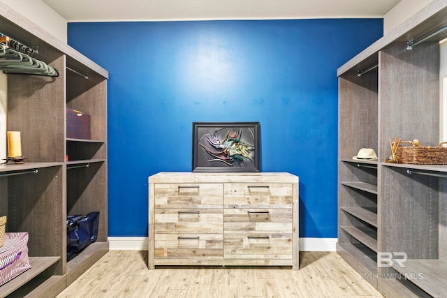 walk in closet with wood-type flooring