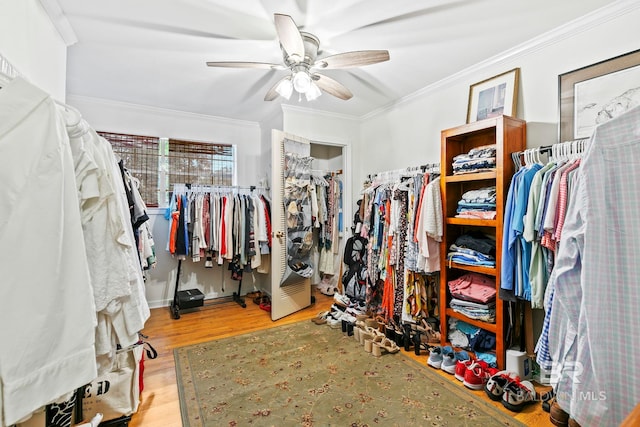 walk in closet with ceiling fan and light hardwood / wood-style floors