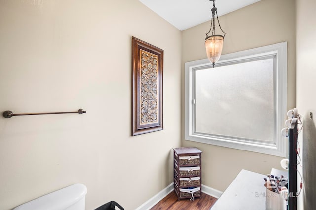 bathroom featuring wood-type flooring and toilet