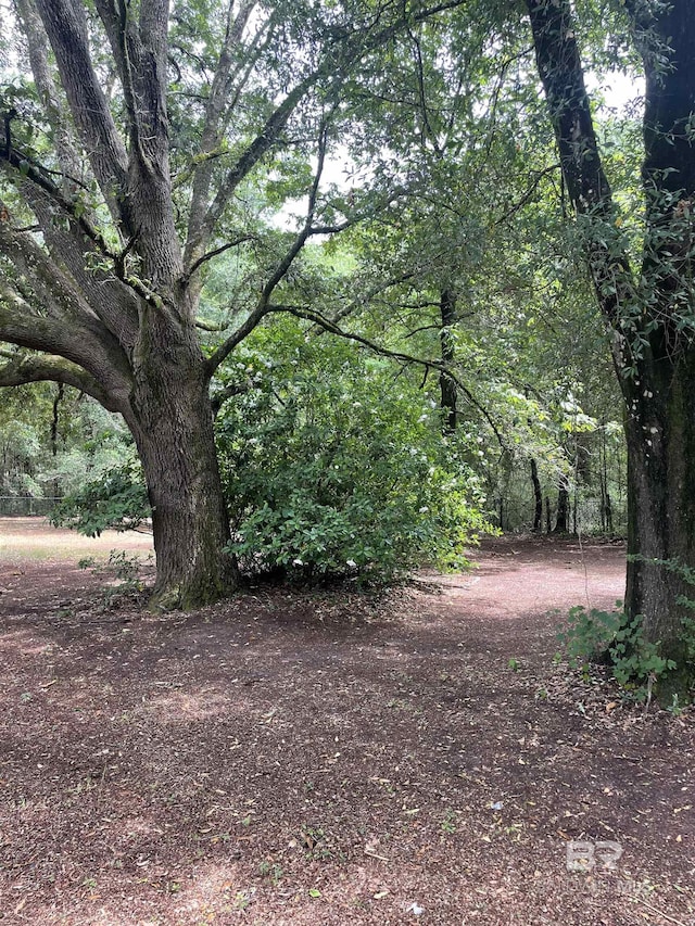 8115 Centeridge Dr, Wilmer, AL 36587 - view of wooded area