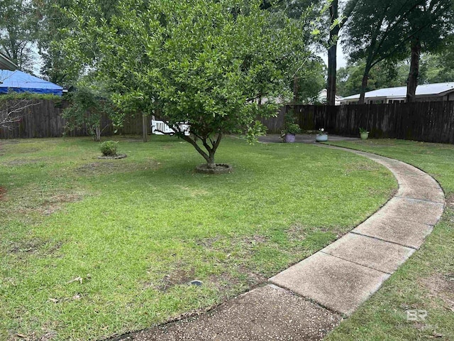6120 Appaloosa Dr, Mobile, AL 36693 - view of yard
