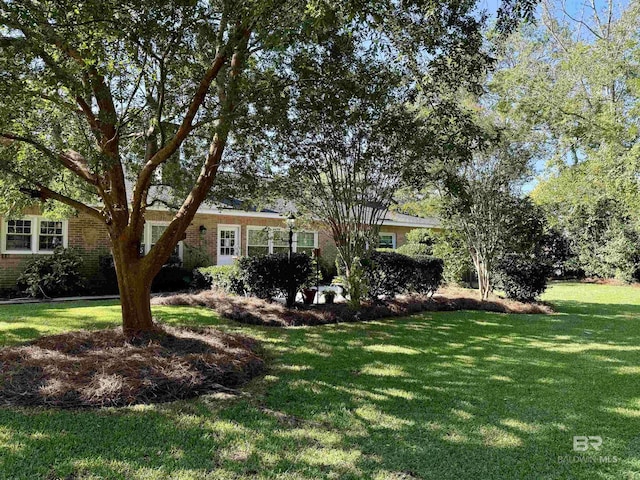 view of front facade featuring a front yard