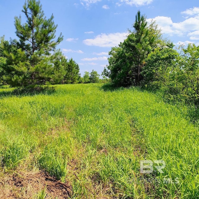 0000 S Blvd, Silverhill, AL 36576