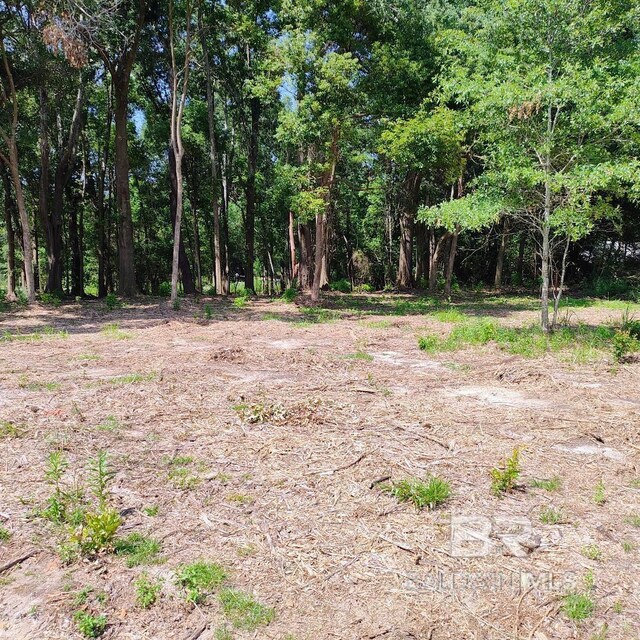 0000 S Blvd, Silverhill, AL 36576