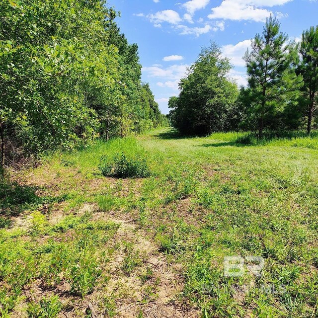 0000 S Blvd, Silverhill, AL 36576