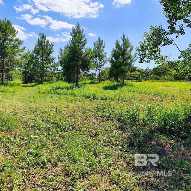 0000 S Blvd, Silverhill, AL 36576