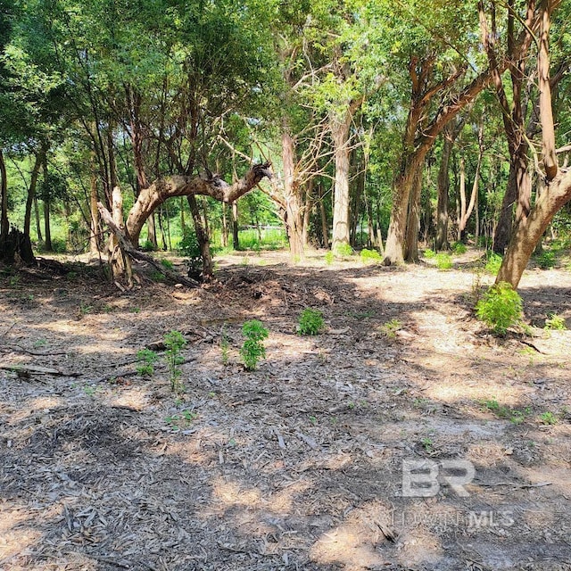 0000 S Blvd, Silverhill, AL 36576
