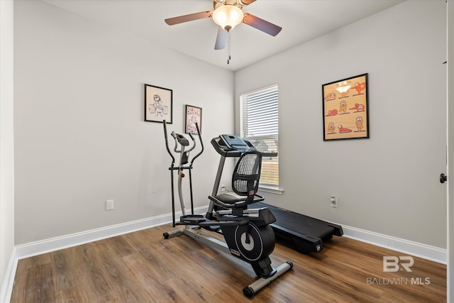 exercise area featuring ceiling fan and hardwood / wood-style flooring