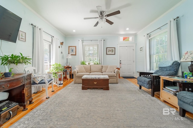 living room with light hardwood / wood-style flooring, ceiling fan, and crown molding