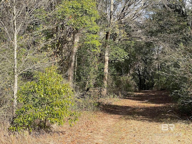 14606 County Road 13, Fairhope AL, 36532 land for sale