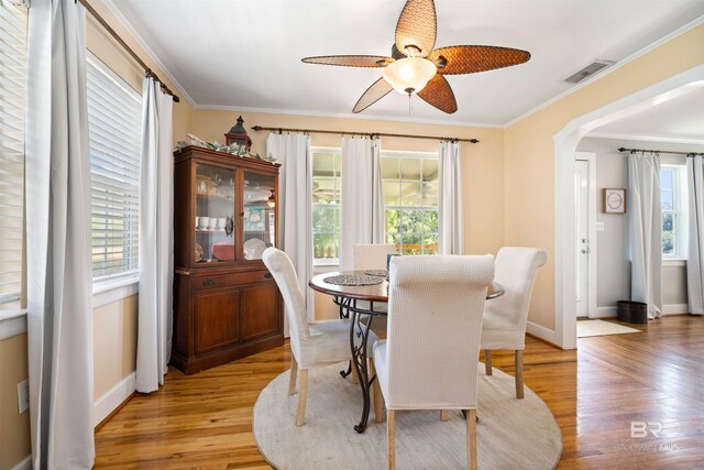 dining area with light wood-type flooring, crown molding, ceiling fan, and plenty of natural light