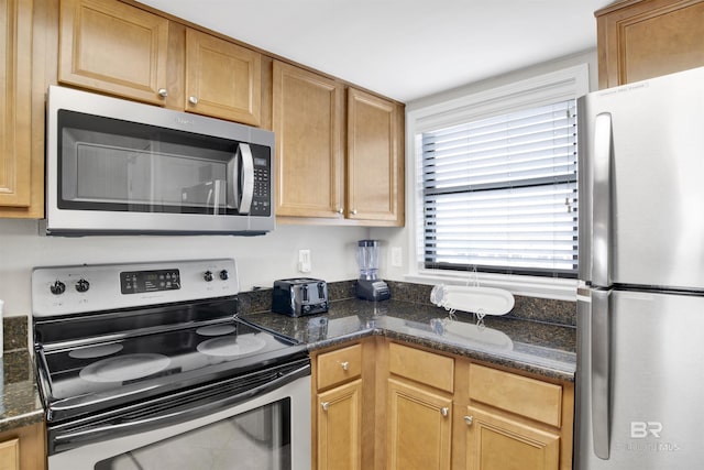 kitchen featuring stainless steel appliances and dark stone counters