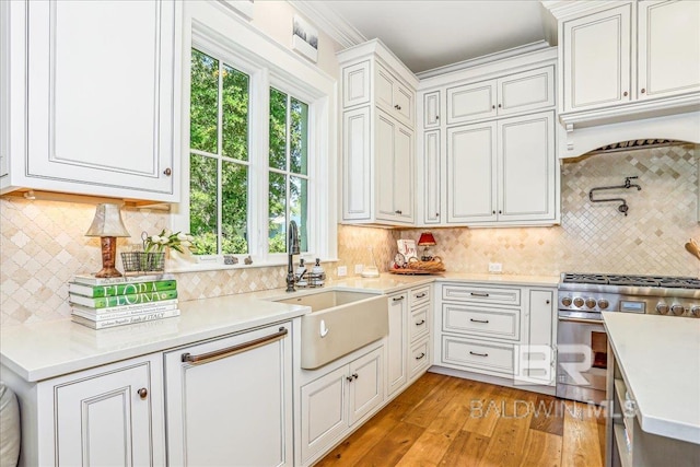 kitchen with high end stove, a sink, light wood-style floors, light countertops, and tasteful backsplash