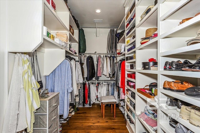 spacious closet featuring wood finished floors