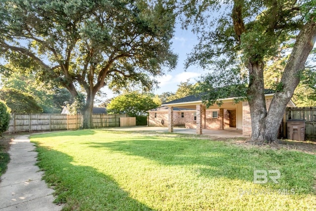 view of yard featuring a patio