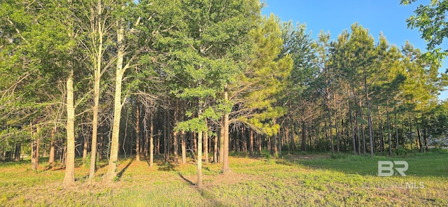 view of wooded area