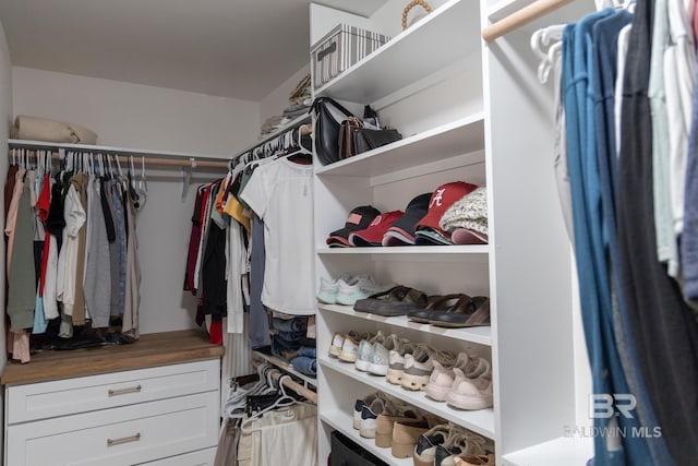 view of spacious closet