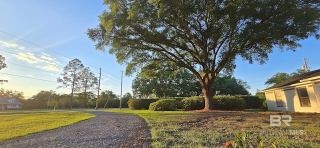 view of road