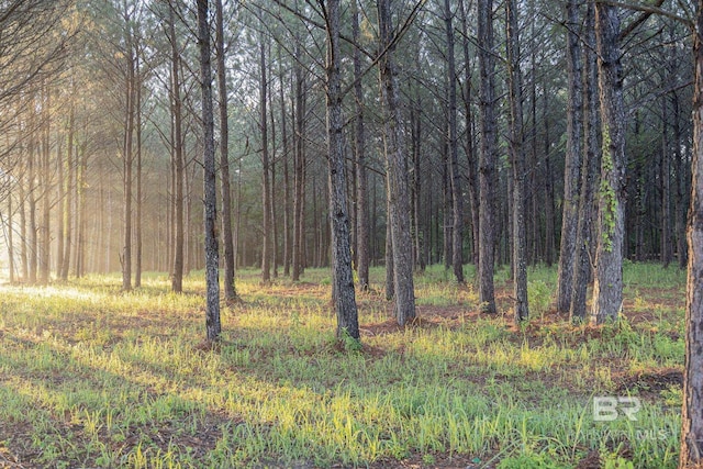 view of tree filled area