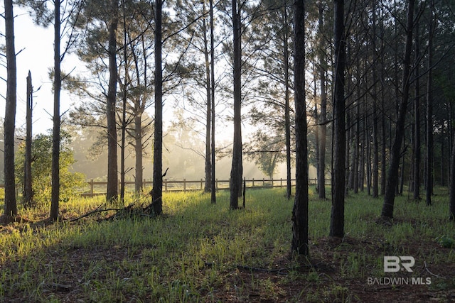 view of undeveloped land