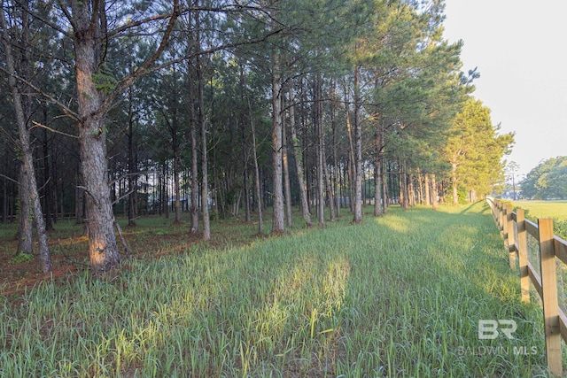 view of yard featuring a view of trees
