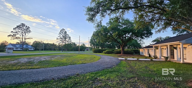 view of grassy yard