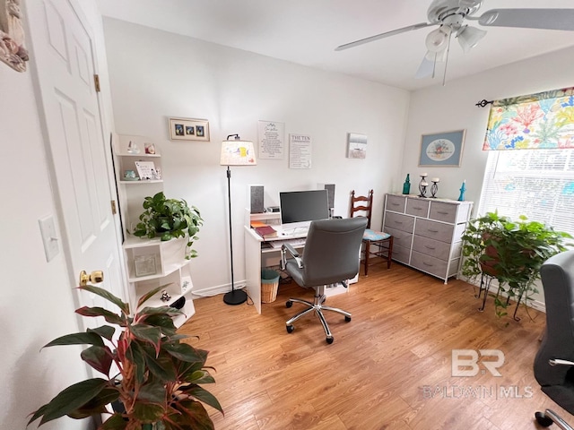 office featuring ceiling fan and light hardwood / wood-style flooring