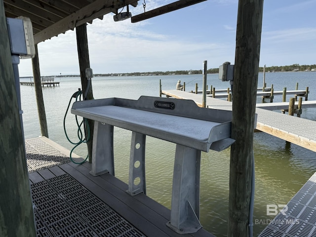 dock area with a water view