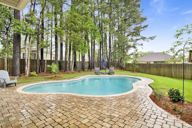 view of pool featuring a fenced in pool, a patio area, a fenced backyard, and a lawn