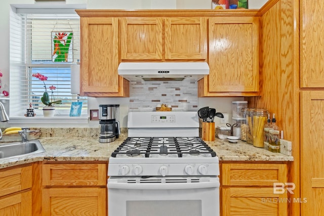kitchen featuring tasteful backsplash, white range with gas stovetop, ventilation hood, and a sink