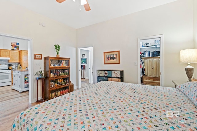 bedroom with a ceiling fan, light wood-type flooring, a closet, and a spacious closet