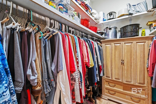 view of spacious closet