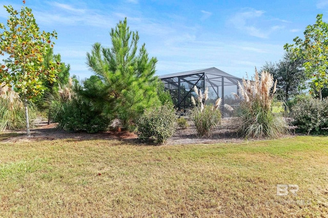 view of yard with a lanai