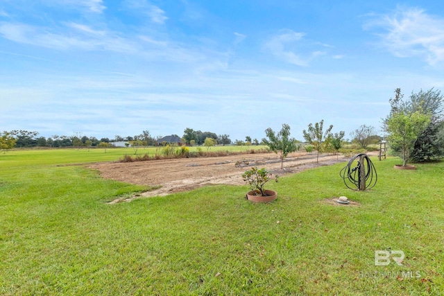view of yard featuring a rural view