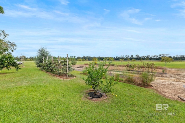 view of yard with a rural view