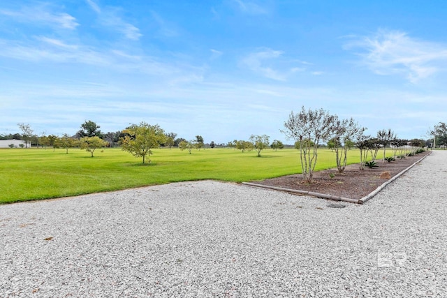 surrounding community featuring a lawn