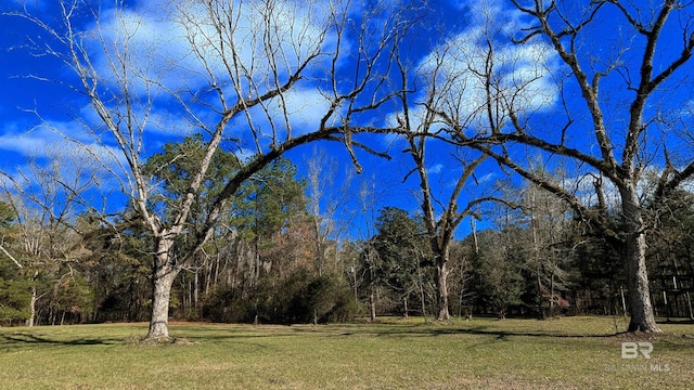 view of nature