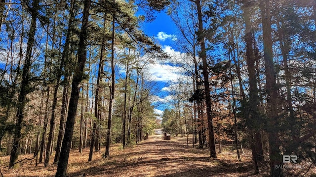 view of local wilderness