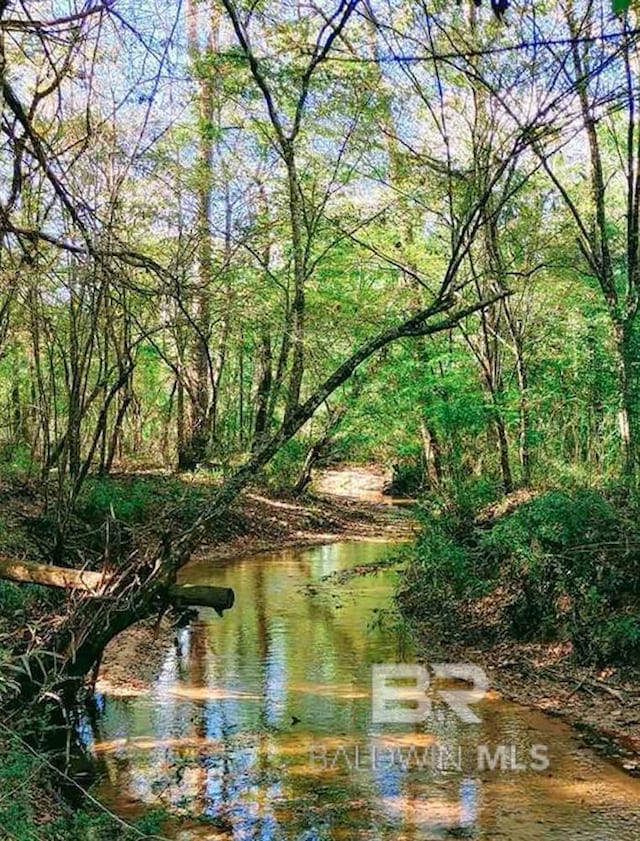 property view of water